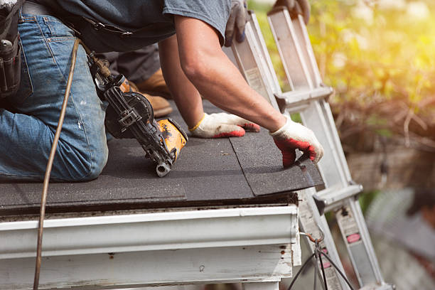 Best Metal Roofing Contractor  in Clarinda, IA